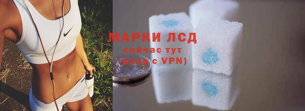 сатива Костерёво