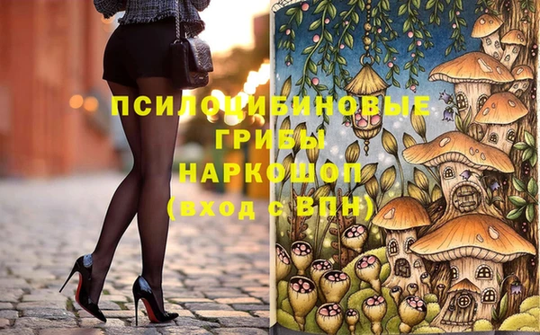сатива Костерёво