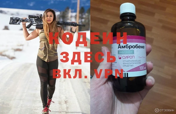 сатива Костерёво