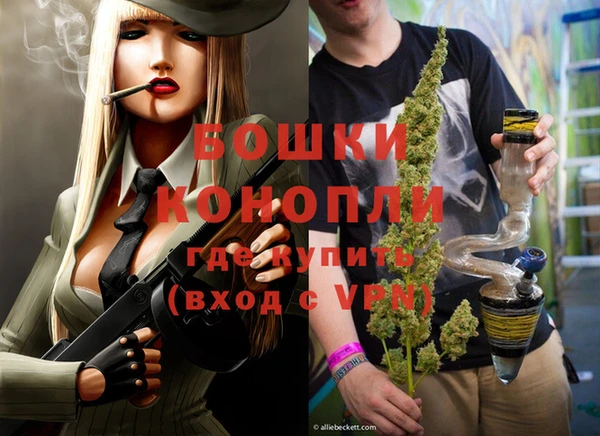 сатива Костерёво