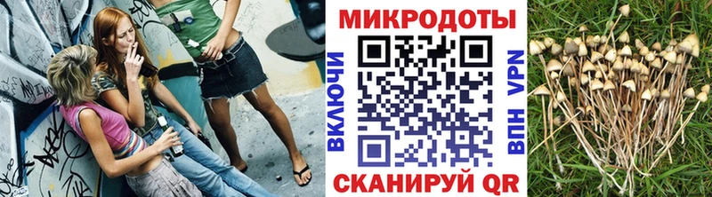 Галлюциногенные грибы MAGIC MUSHROOMS  Купить  Заинск 